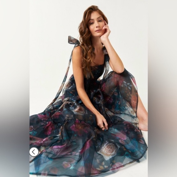 Francesca’s Collections Ivanna Alahna Tiered Floral‎ Maxi Dress XS party chiffon - Picture 1 of 16